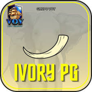 Profile photo of qwe